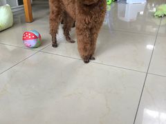 -惠康宠物医院(华能路店)