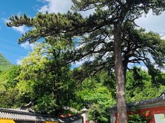 -阳台山自然风景区