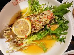 小黄鱼-丝恋丝娃娃(金阳国贸店)