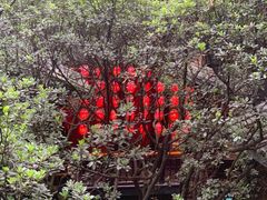 -鱼桥巷·美学川菜