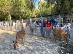 -长白岛森林公园