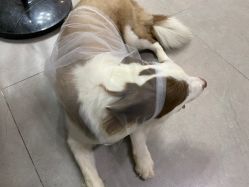 -澳玛·星光医疗美容