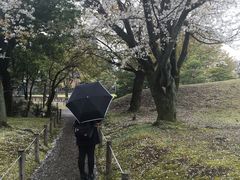 -水前寺成趣园