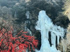 -少华山国家森林公园