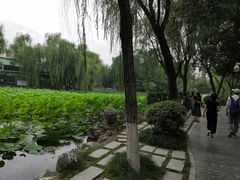 -莲湖公园