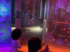 -多彩贵州城极地海洋世界