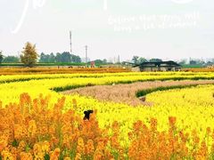 -三圣花乡旅游区