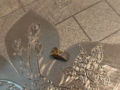 -钓鱼猫面(民心佳园店)