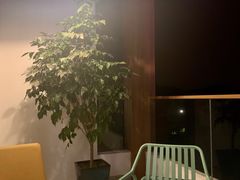 -MUSEO COFFEE咖啡博物馆