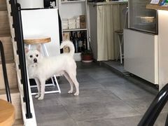-悟白咖啡WoobyCafe