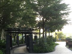 -王借岗森林公园