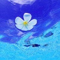 -薇兰专业脱毛连锁机构