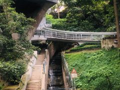 -香港大学