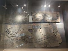 -甘肃地质博物馆