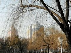 -泰丰公园