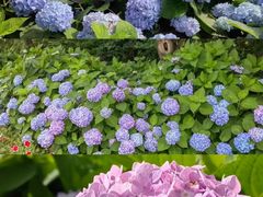 -漩门湾国家湿地公园