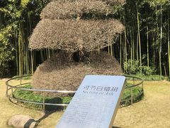 -苏州河梦清园环保主题公园