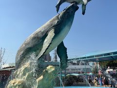 -海合安武汉极地海洋公园