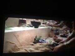 -UME影城(安贞DTS:X店)