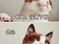 -阿捡忭京炸鸡(韭菜园总店)