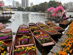 -荔湾湖公园