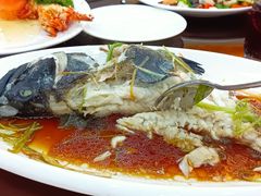 -同发大酒家