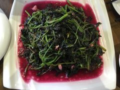 蒜蓉苋菜-不倒翁·徽天下名菜楼(马鞍山路店)