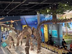 -国家自然博物馆