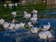 -丽江泸沽湖景区