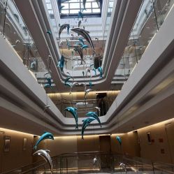 点击看大图 -爱弥儿月子中心(省医院店)