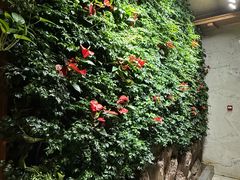 -浅深(北京北四环精品店)