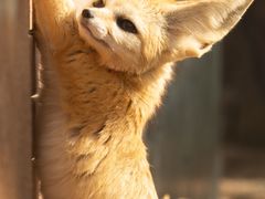 -上海野生动物园