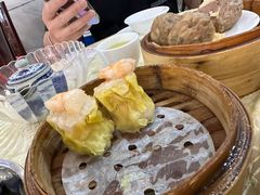 -宝塘茶楼