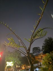 -厦门市妇幼保健院(总院区)