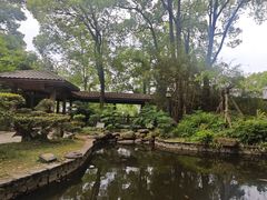 -南山植物园