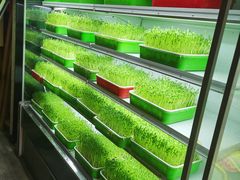 -番食园鲜食火锅(高新店)