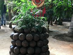 -北戴河集发农业梦想王国