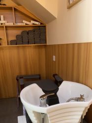 -丝客富脱发养发头皮馆