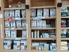-瑞派名望志远动物医院·猫科·內科·异宠专科(直港大道店)