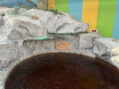 -爱江山温泉(凌奥店)