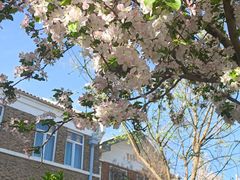 -天津五大道文化旅游区