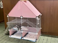 -大象厨房(重庆道店)