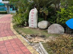 -广东惠东海龟国家级自然保护区
