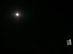 -白天鹅宾馆·月兔吧
