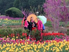 -石家庄市植物园
