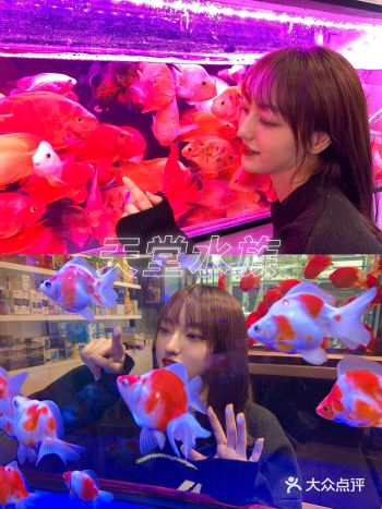 苏州探店｜水族店也可以这么好拍？！