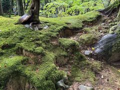 -西芳寺(苔寺)