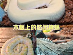 -石家庄市动物园