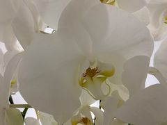 -光作面包Voila Lumiere(中山店)