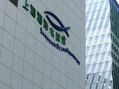 -上海海洋水族馆